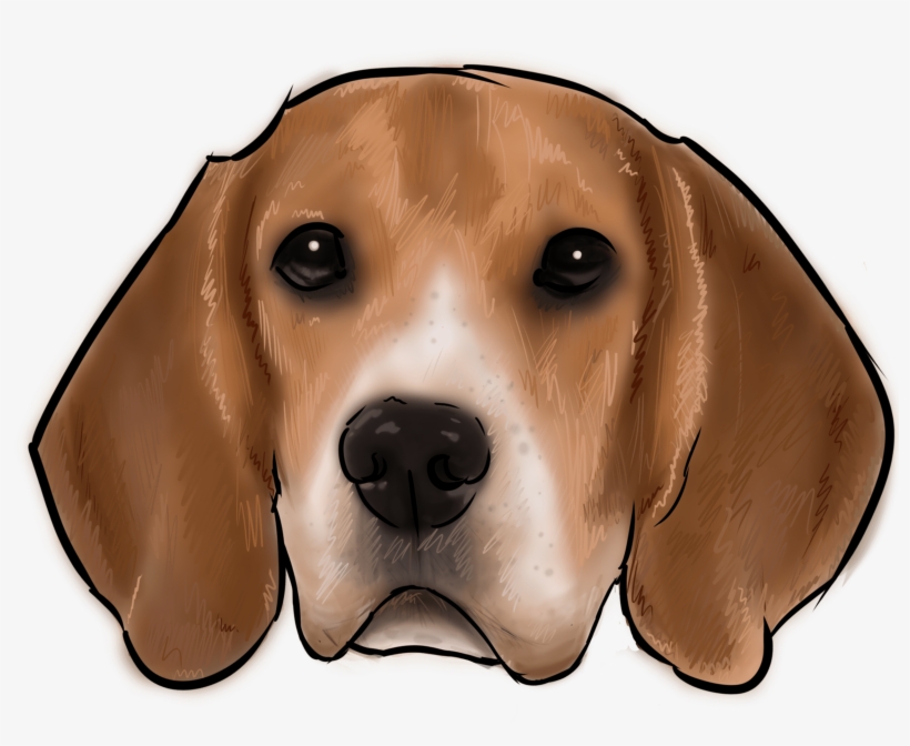 46 Why Are You A Beagle - Dog, transparent png