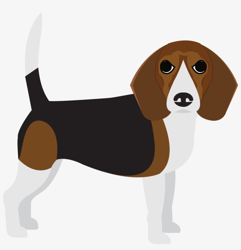 Harrier, transparent png