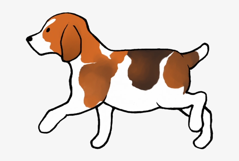 Beagle Puppy By Wolkenschaap On Deviantart Clipart - Painting, transparent png