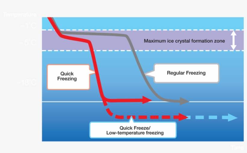 By Quickly Going Past The Maximum Ice Crystal Formation - Ice Crystals In Food, transparent png