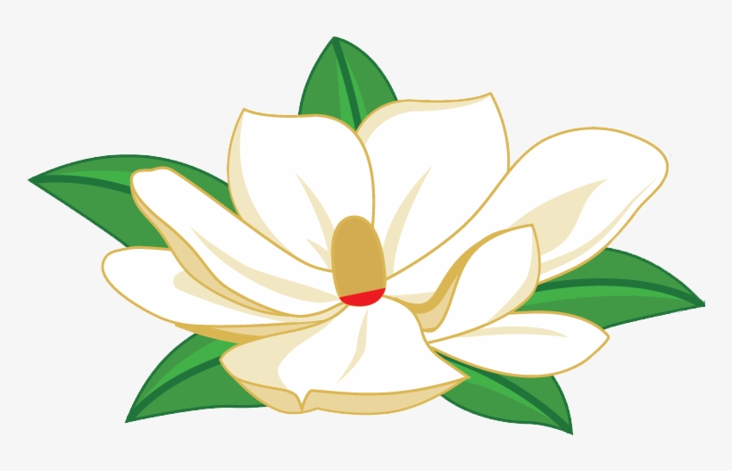 .com, transparent png