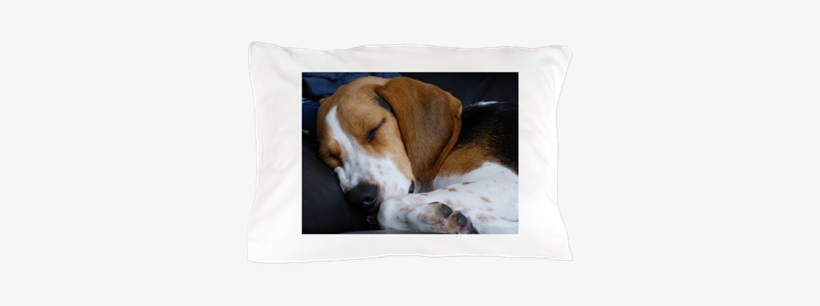 Beagle Sleeping Pillow Case - Dog, transparent png