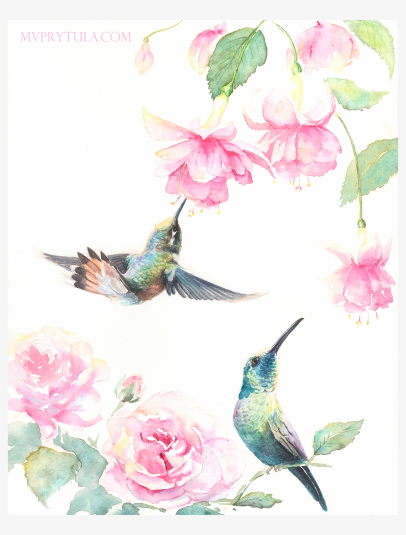 Hummingbirds Limited Edition - Ruby-throated Hummingbird, transparent png