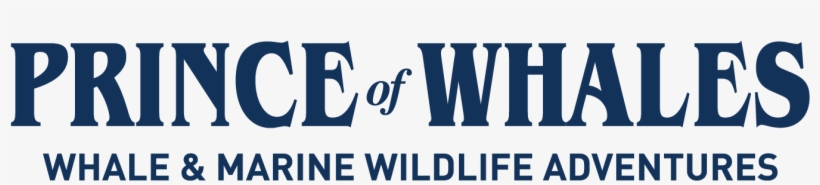Prince Of Whales, Whale & Marine Wildlife Adventures - Graphic Design, transparent png