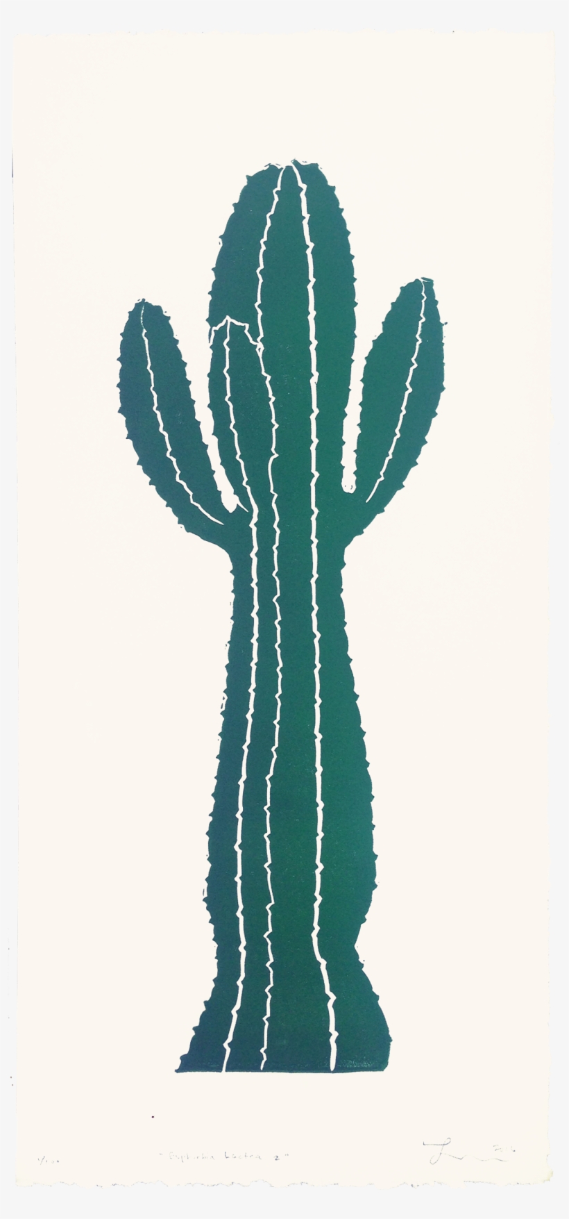 955490 D 2160 2447 S 2 - Hedgehog Cactus, transparent png