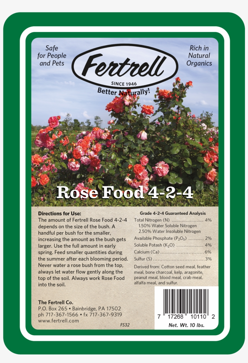 Rose Food 4 2 4 - Japanese Camellia, transparent png