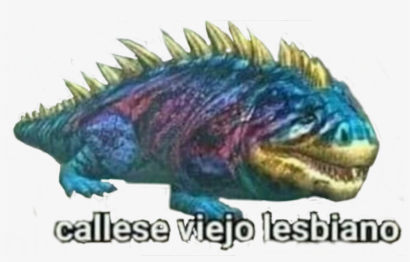 #dinomeme #png #sticker #whatsapp - Viejo Lesbiani, transparent png