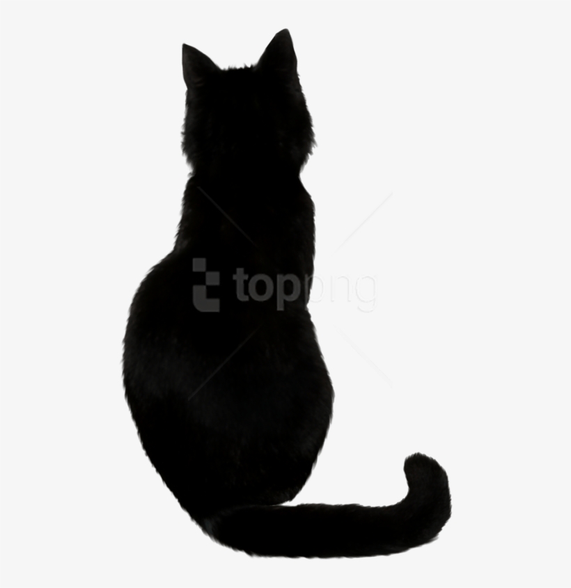 Free Png Download Black Cat Png Images Background Png - Back Of A Black Cat, transparent png