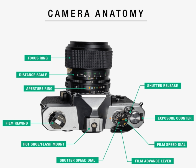 A Mirror Within The Camera Body That Is Diagonally - Camera Lens, transparent png
