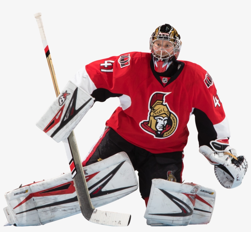 Sidney Crosby On Tom Wilson - Ottawa Senators, transparent png