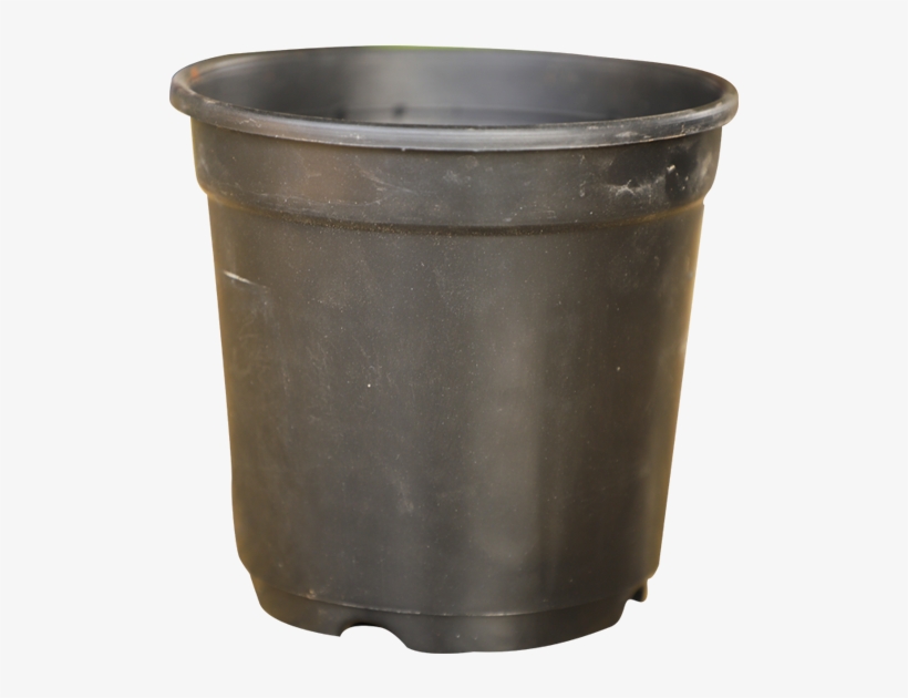 Flowerpot, transparent png