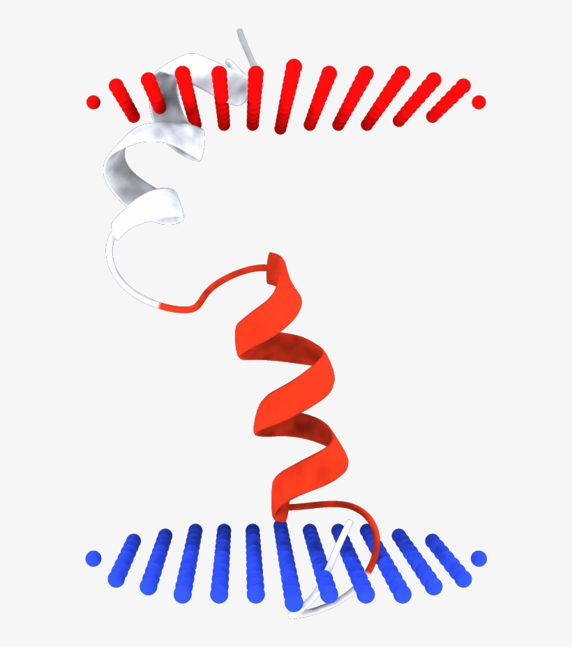 2ki9 - Graphic Design, transparent png