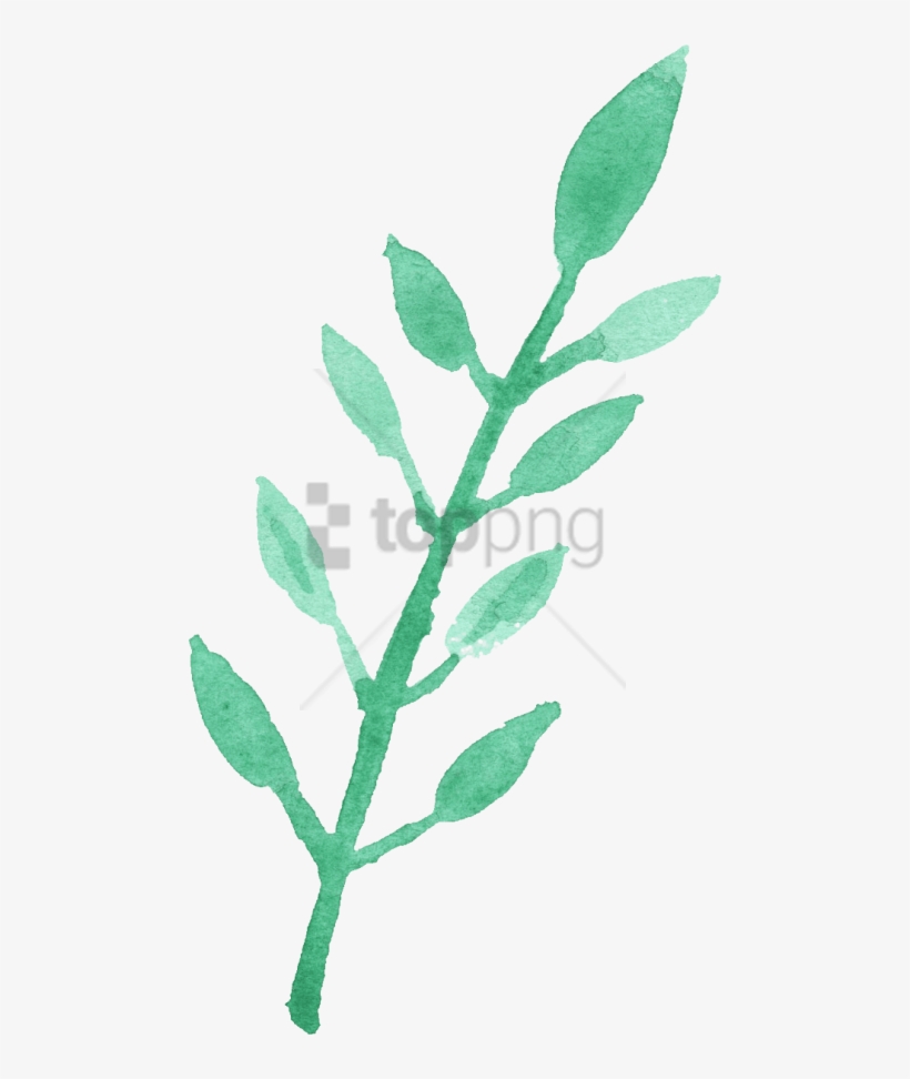 Free Png Watercolour Leaf Png Image With Transparent - Watercolor Leaf Clip Art, transparent png