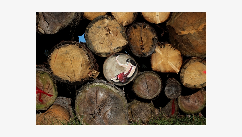 News - Tree Stump, transparent png