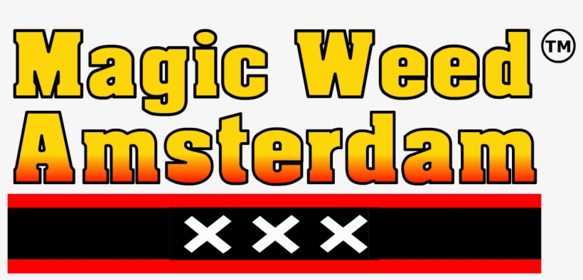 Graphic Design, transparent png
