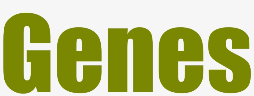 Graphic Design, transparent png