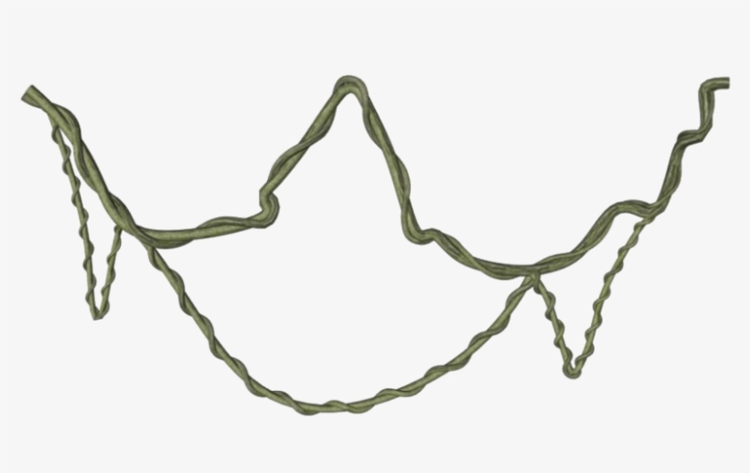 Jungle Vines Png Clipart - Vine Png, transparent png