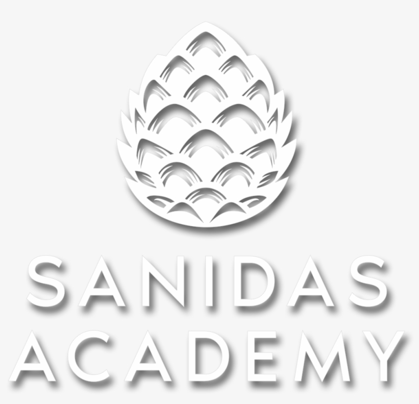 Sanidas Logo 5 - Ring, transparent png