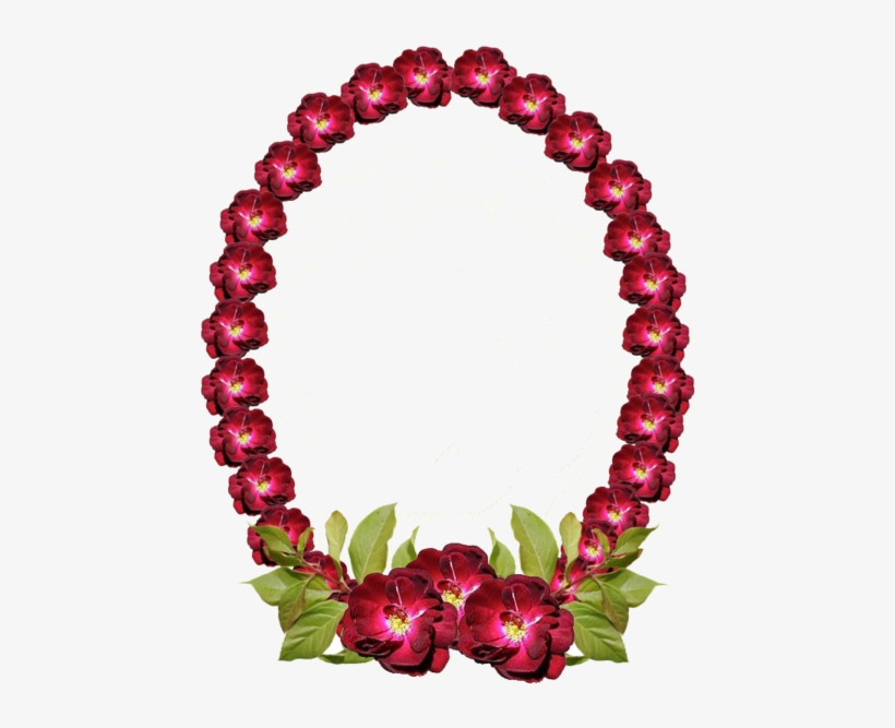 Molduras Ovais Com Flores, transparent png