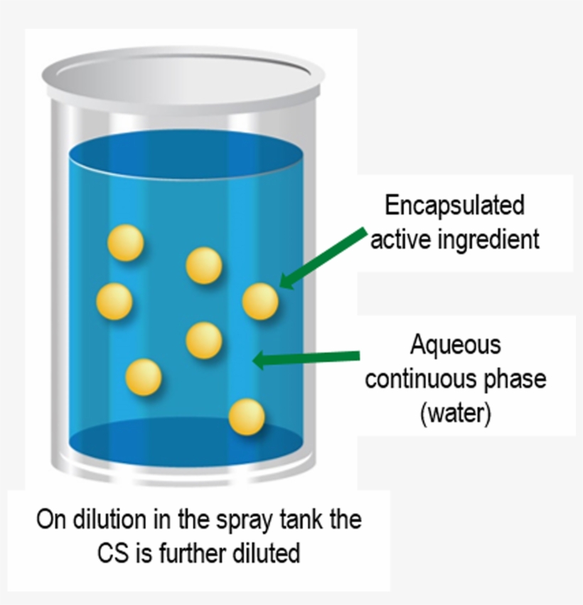 Cs Formulation Diagram Capsule Suspension Cs Formulation 2953x1800