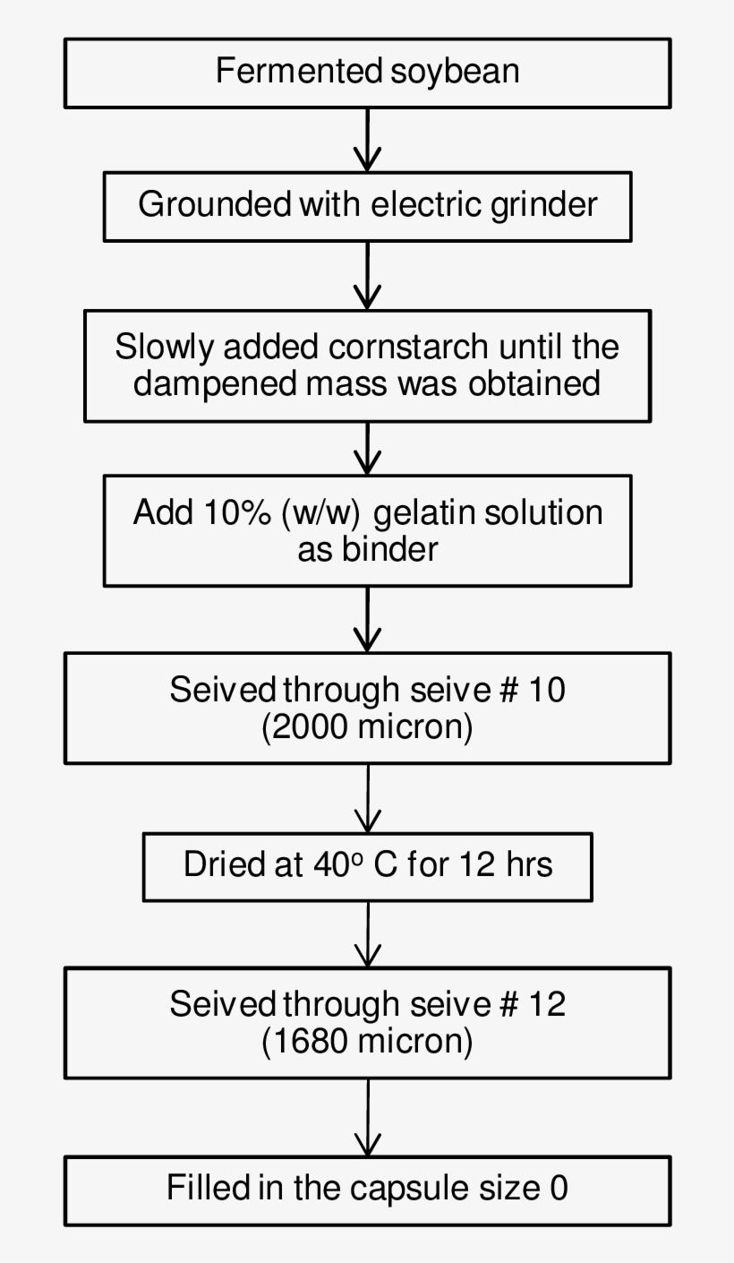 Flow Diagram Showing Method Of Granule And Capsule - Number, transparent png