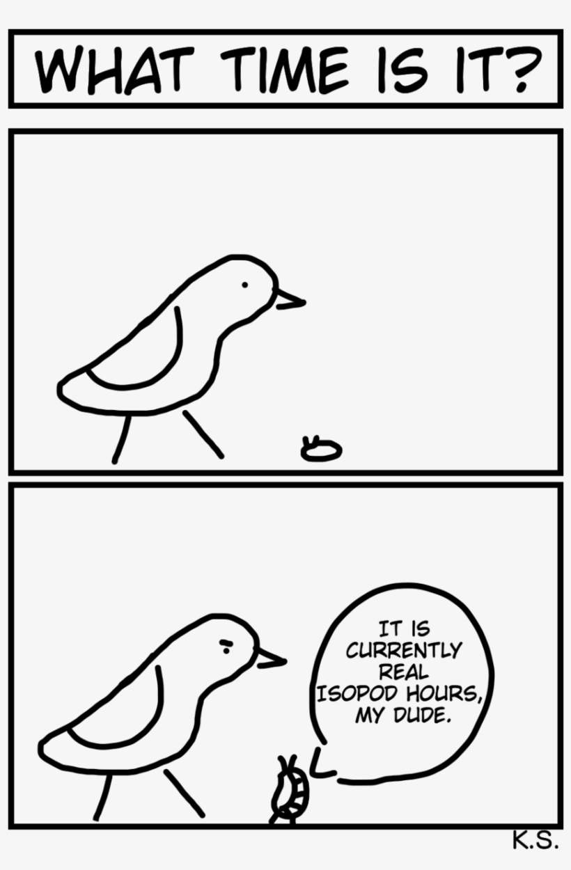 What Time Is It - Line Art, transparent png