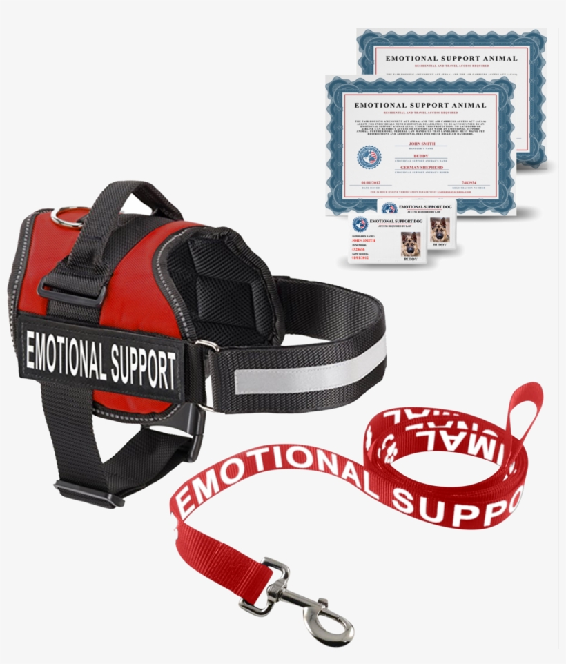 Price - Emotional Support Dog Kit, transparent png