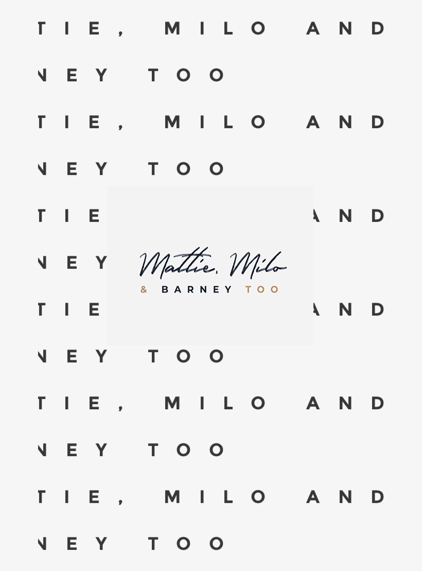 Once The Logo's Finished, I Sent Katie All The File - Paper, transparent png