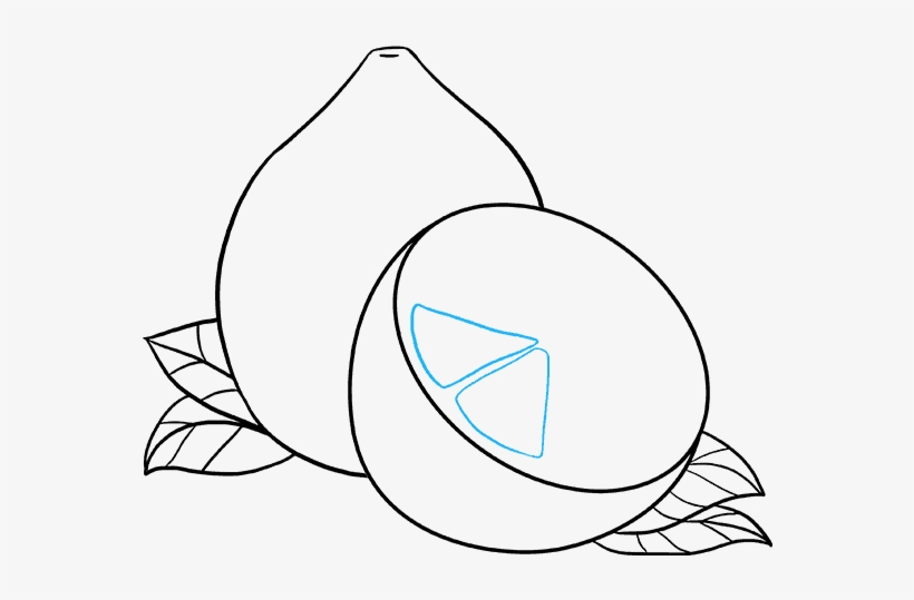 How To Draw Lemon - Drawing Image Of Lemon, transparent png