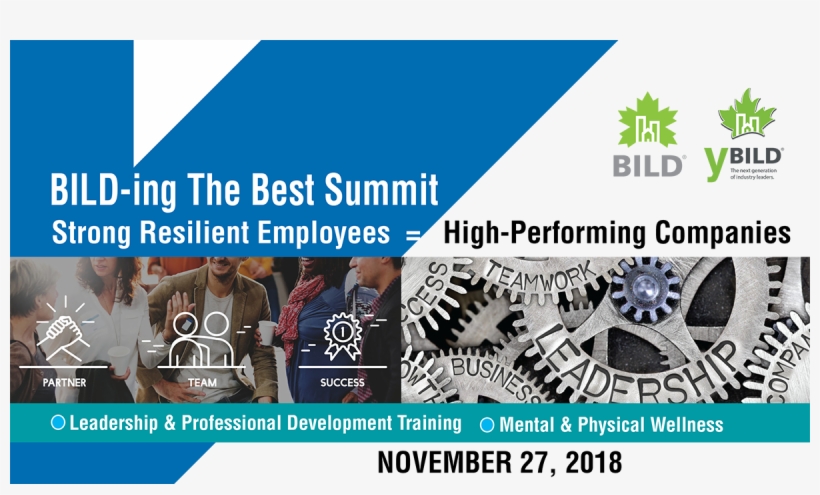 Daniela Tirone - Spin Standard, transparent png