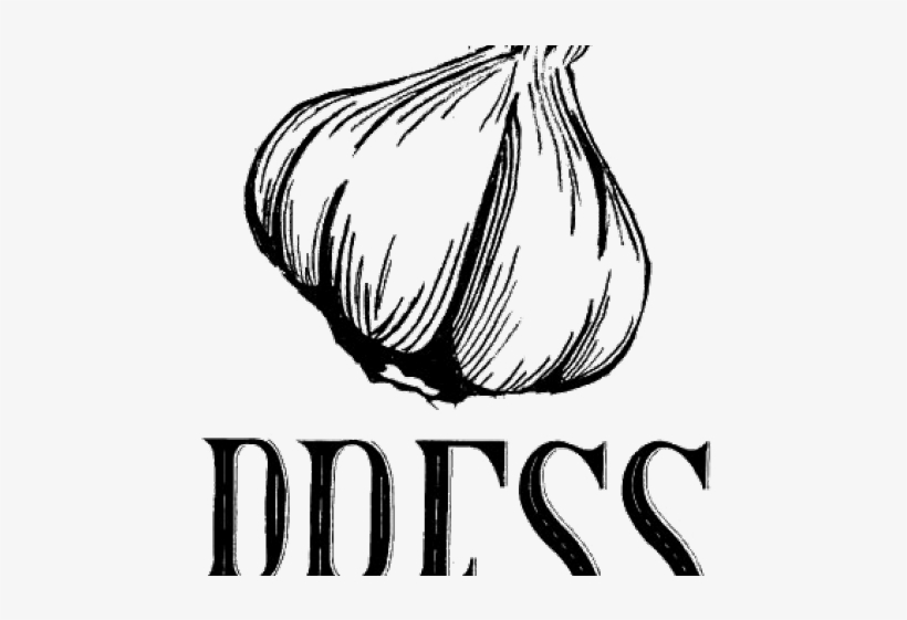 Drawn Onion White Png - Logo Garlic Png, transparent png
