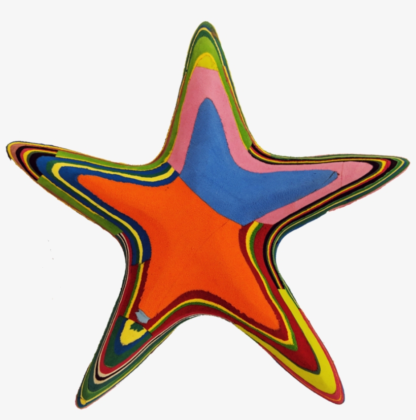 Starfish, transparent png