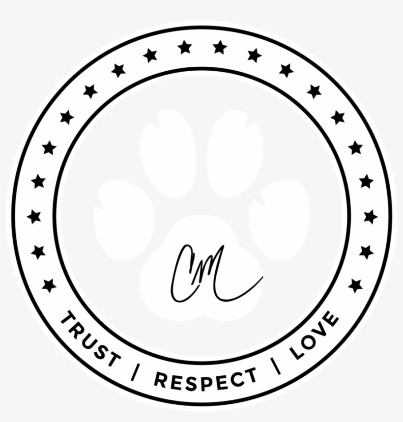 Circle, transparent png