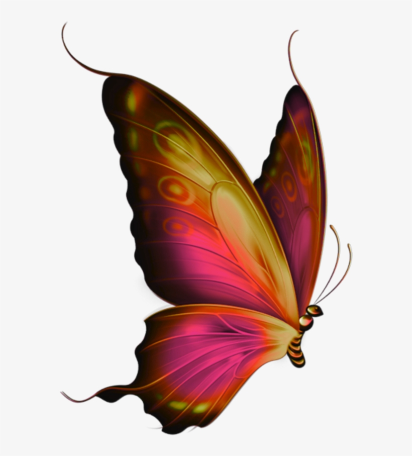 #mq #red #butterfly #butterflys #flying - Transparent Blue Butterfly, transparent png