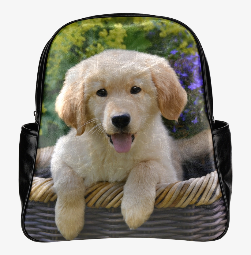 Cute Young Golden Retriever Dog Goldie Puppy Portrait - Cute Puppies Square, transparent png