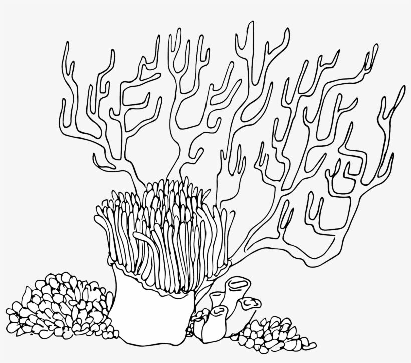 Kitsch - Line Art, transparent png