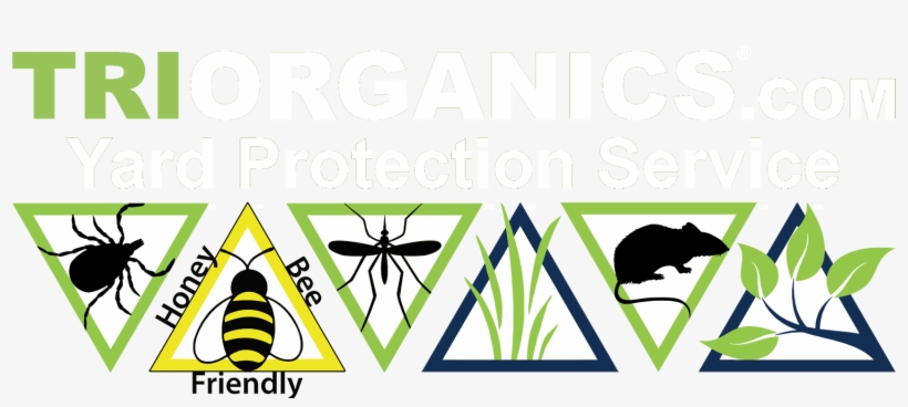 Green Tick Clipart Phone Call - Bumble Bee Clip Art, transparent png