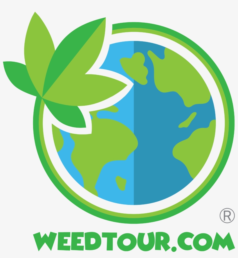 Weed Girls - Graphic Design, transparent png