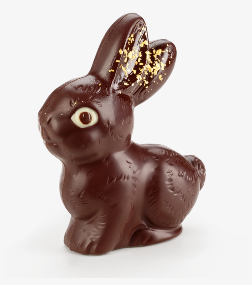 Chocolate Bunny Goldy 100g - Domestic Rabbit, transparent png