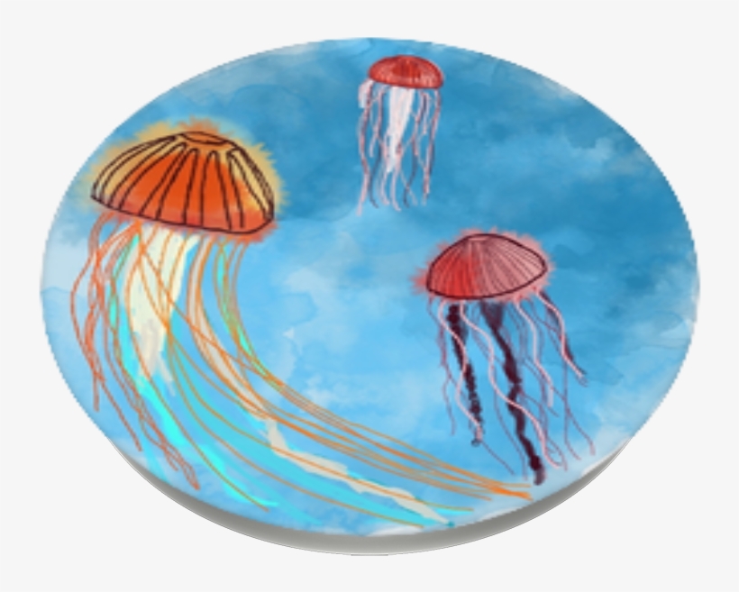Jellyfish, Popsockets Jellyfish - Jellyfish, transparent png