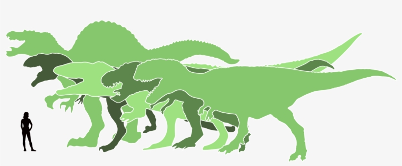 Jämförelse Dinosauriers Storlek, transparent png