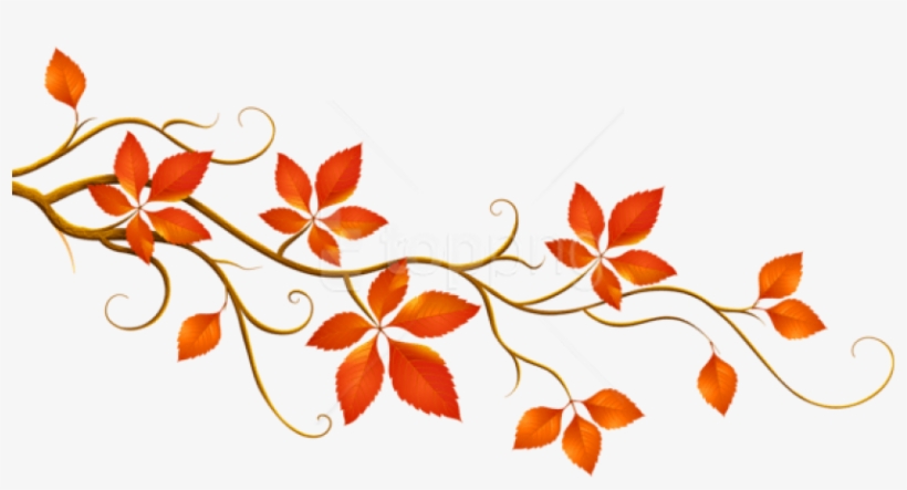 Free Png Download Decorative Branch With Autumn Leaves - Fall Clipart Leaves, transparent png