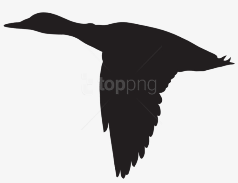 Free Png Duck Flying Silhouette Png - Flying Duck Silhouette Vector, transparent png