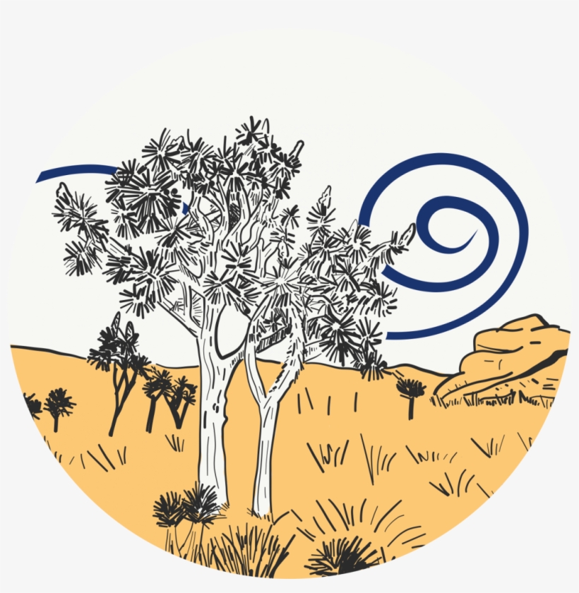 Joshua Tree - Larch, transparent png