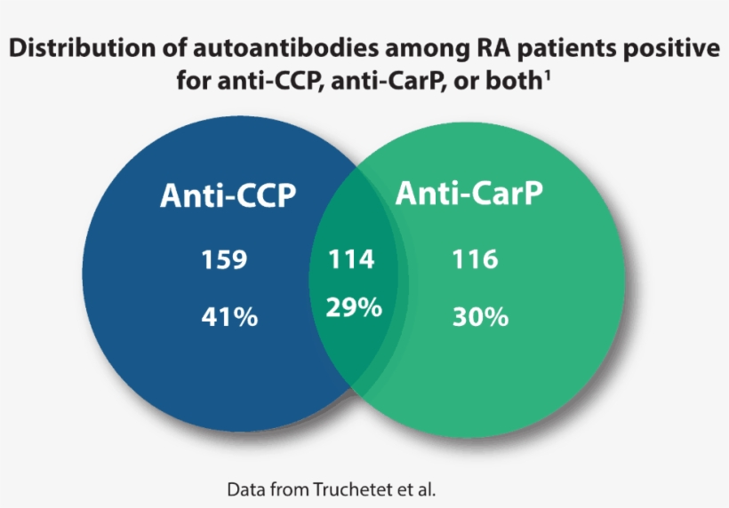 Distribution Of Autoantibodies Among Ra Patients - Diagram, transparent png