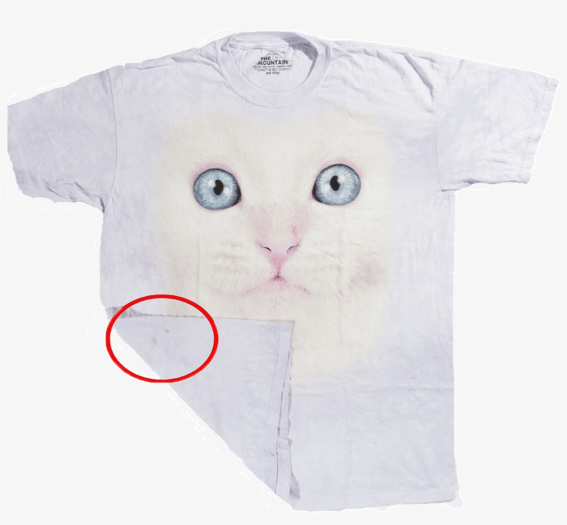 Футболка С Дефектом White Kitten Face - Kitten, transparent png