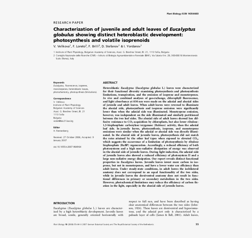 Pdf - Untitled, Illustration 14, In The Book Foirades / Fizzles, transparent png