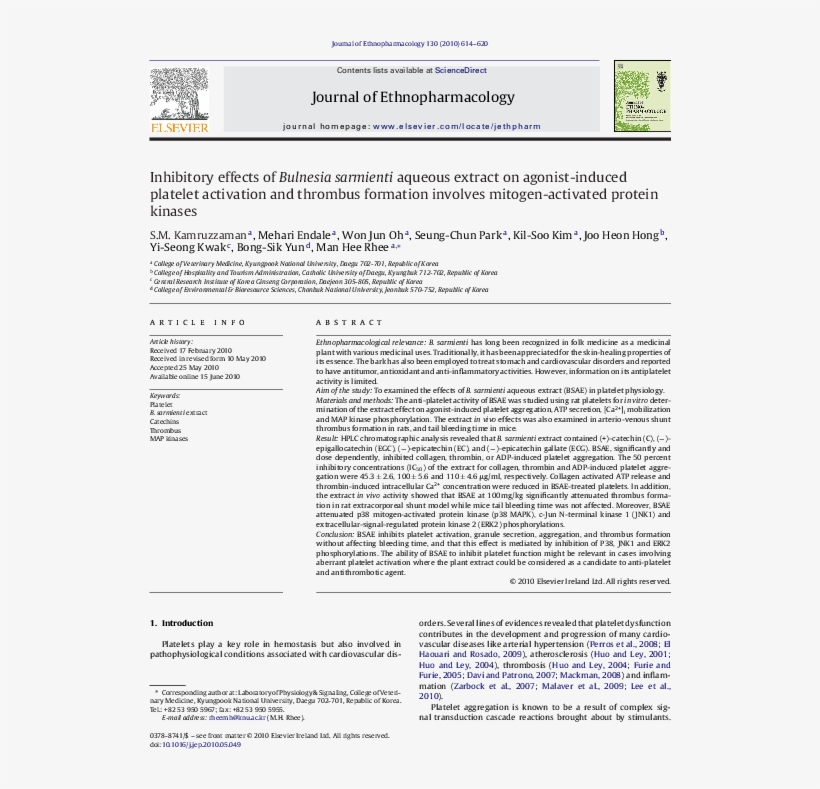 Pdf - Folio Nineteen From Burchard Of Sion's De Locis Ac, transparent png