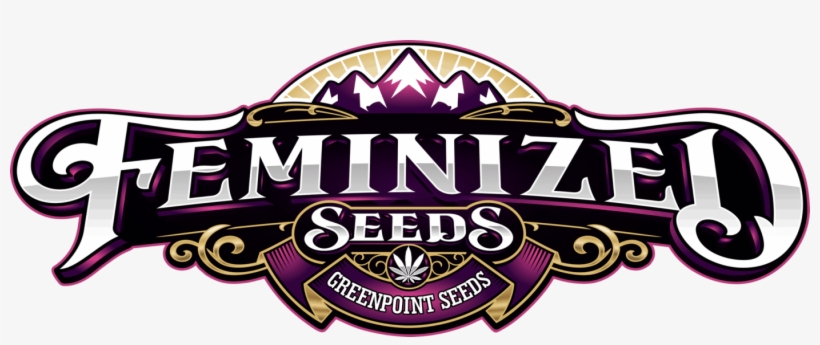 Buy Now, They Will Sell Out - Label, transparent png