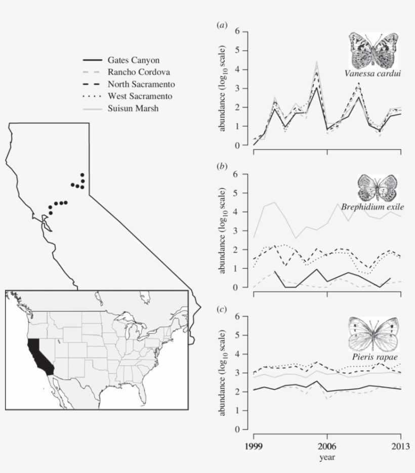 Fifty Butterfly Species Occurring At These Locations - Diagram, transparent png